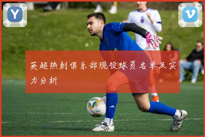 英超热刺俱乐部现役球员名单及实力分析