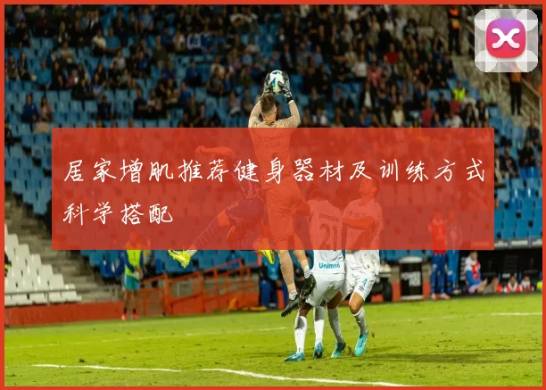 居家增肌推荐健身器材及训练方式科学搭配