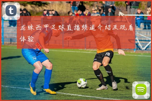 龙珠西甲足球直播频道介绍及观看体验