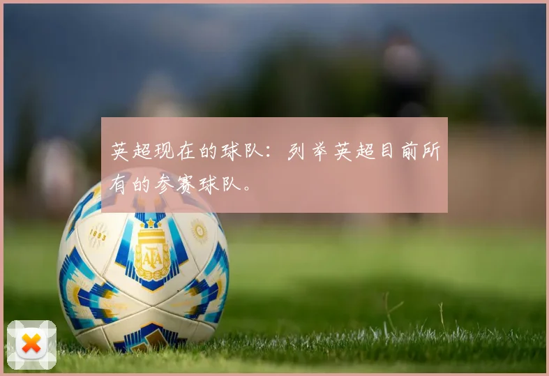 英超现在的球队：列举英超目前所有的参赛球队。