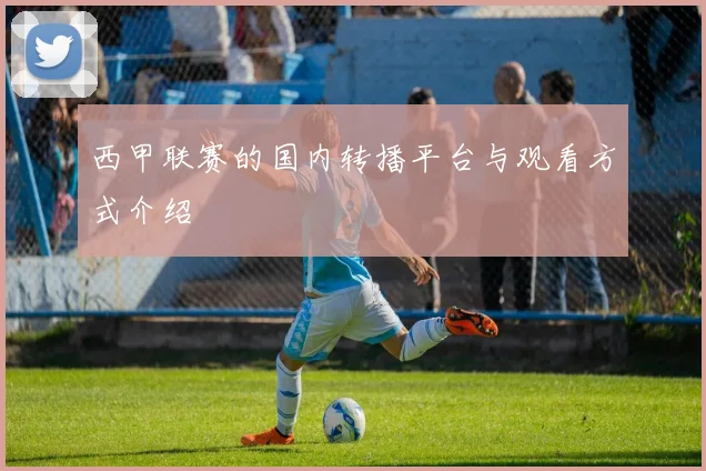 西甲联赛的国内转播平台与观看方式介绍